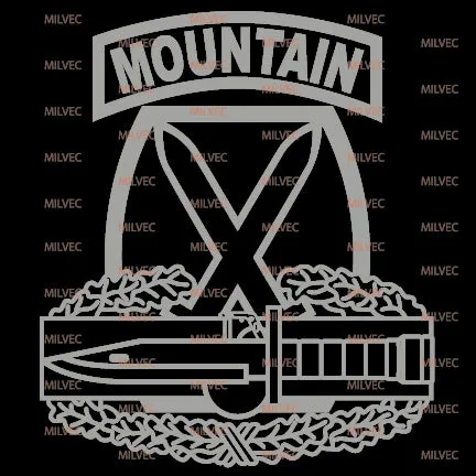 10th Mountain Combat Action Badge CAB vinyl