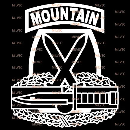 10th Mountain Combat Action Badge CAB vinyl