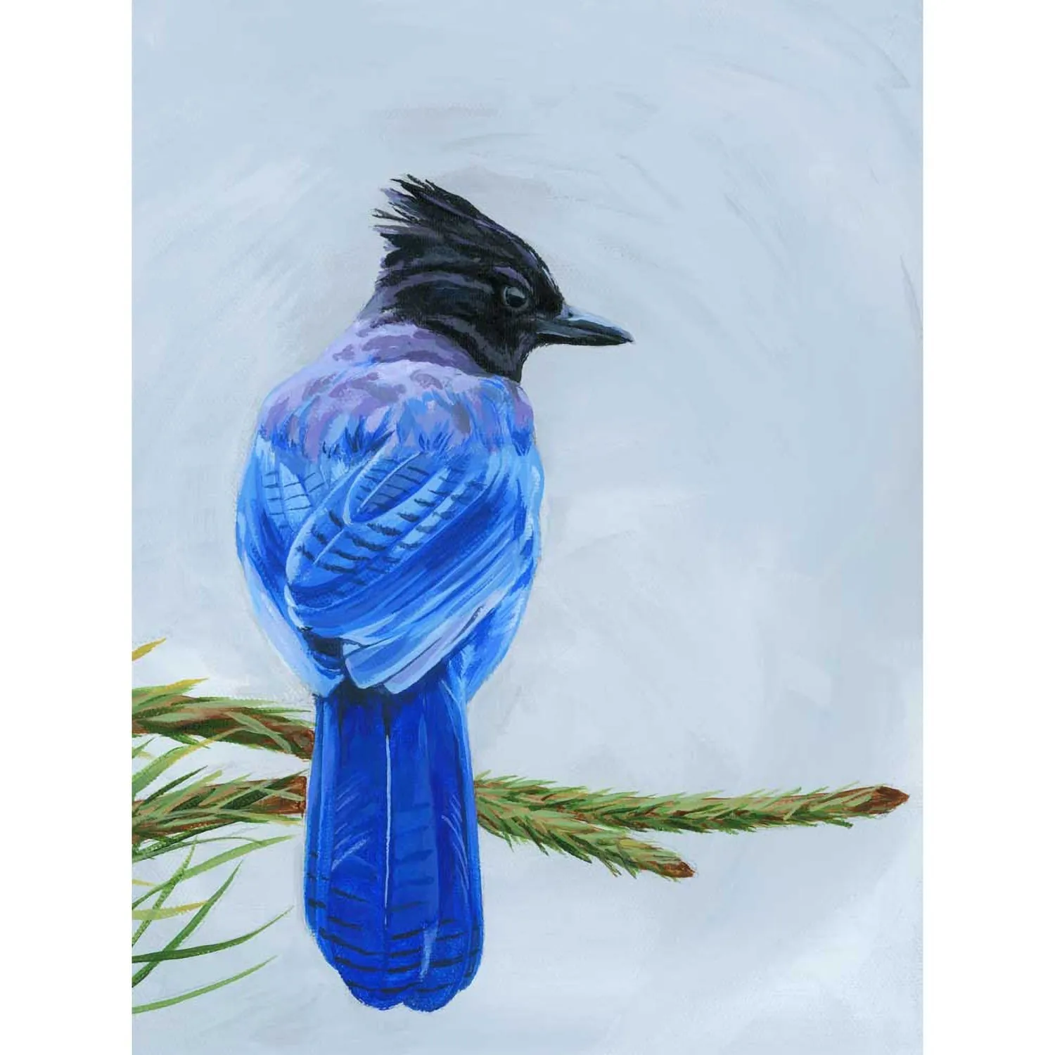 Avian Spotlight - Scrub Jay Canvas Wall Art