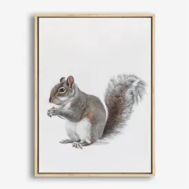 Baby Squirrel Canvas Print