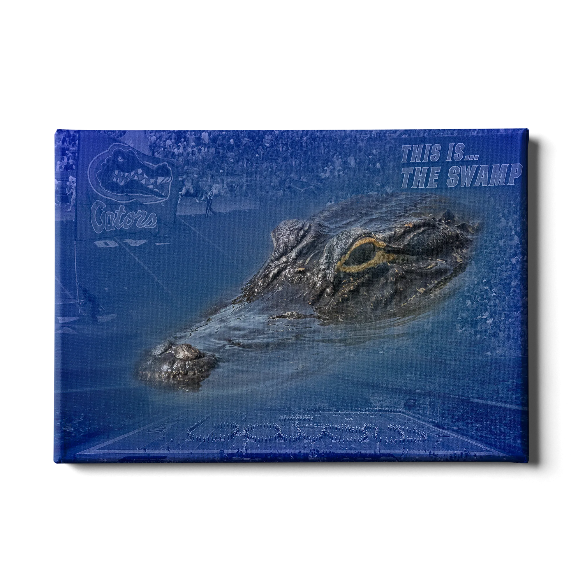 Florida Gators - Gator Swamp