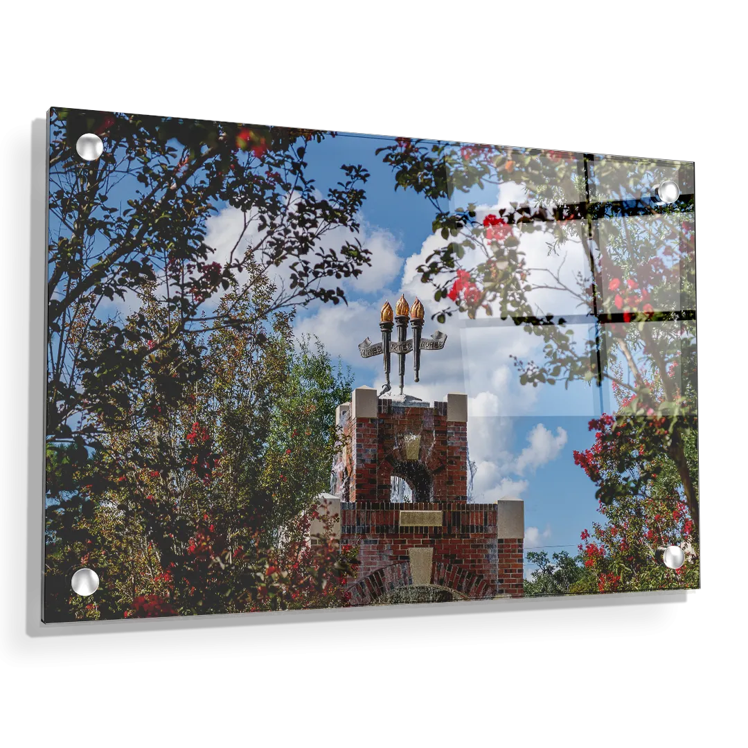 Florida State Seminoles - Red Bloom Framed Torches