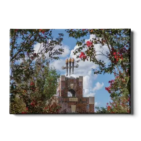 Florida State Seminoles - Red Bloom Framed Torches