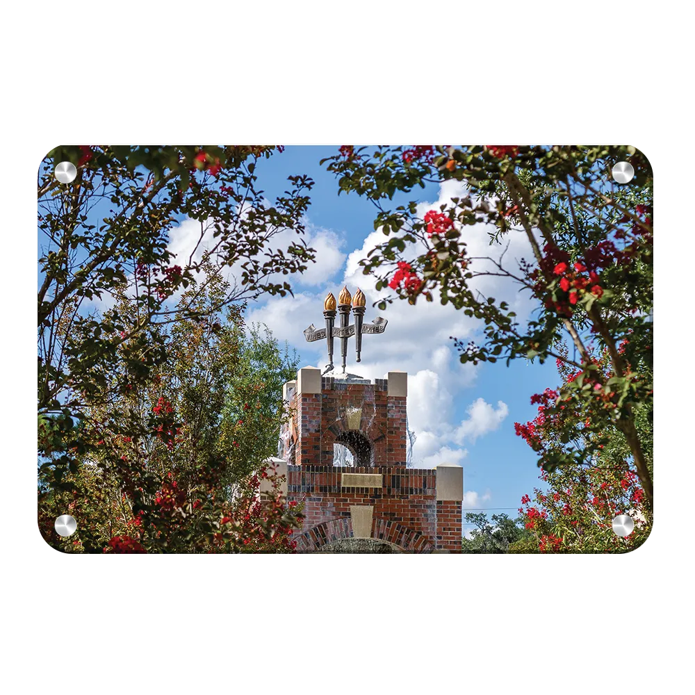 Florida State Seminoles - Red Bloom Framed Torches