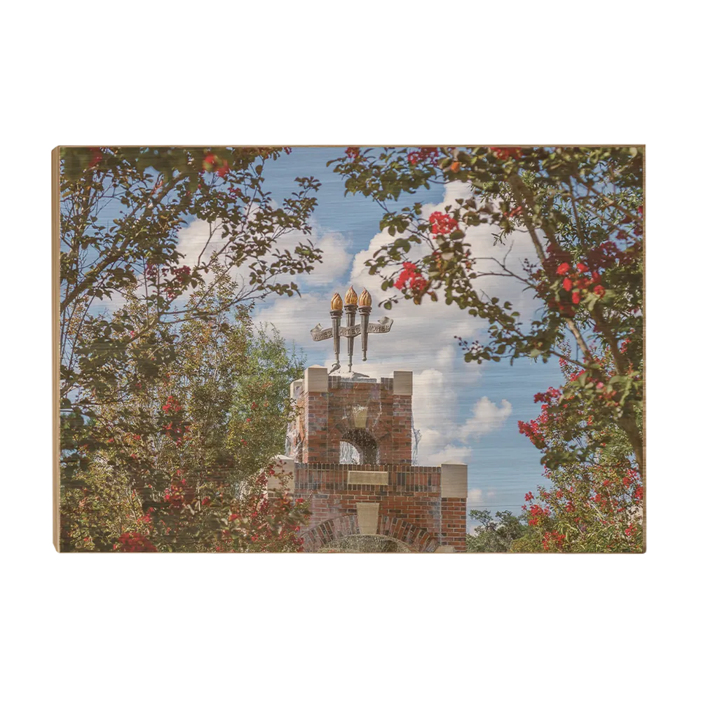 Florida State Seminoles - Red Bloom Framed Torches