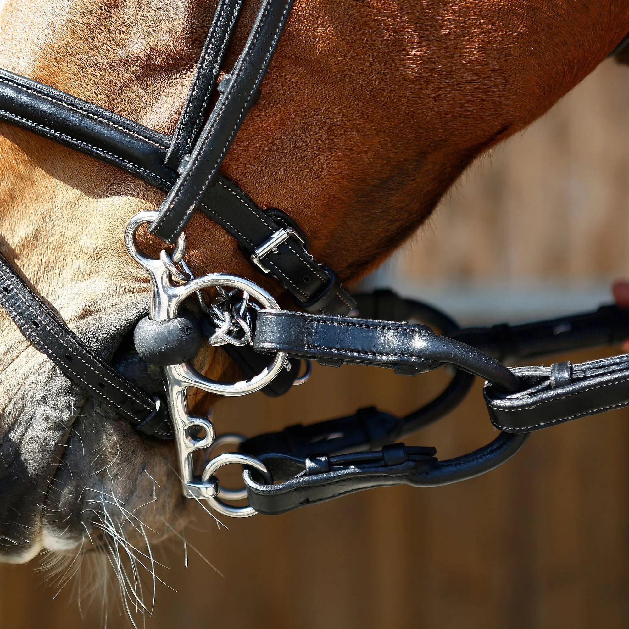 Horse Riding Pelham Attachments For Horse Or Pony