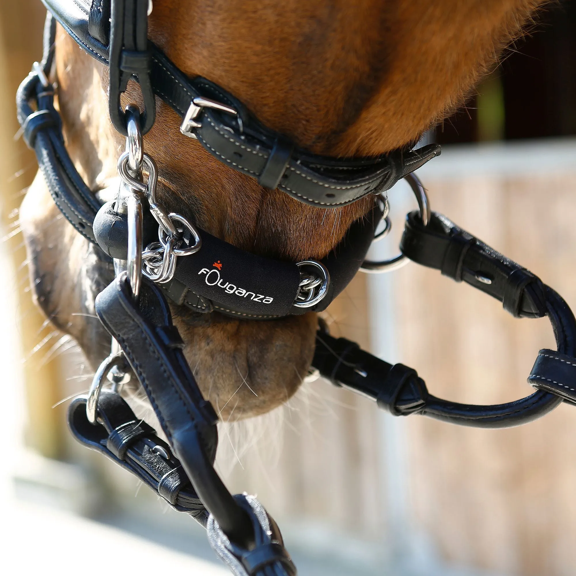 Horse Riding Pelham Attachments For Horse Or Pony