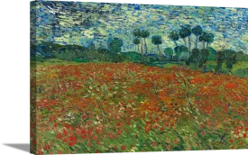 Poppy Field | Vincent Van Gogh Masters Classic Art in Gallery Wrapped Canvas | Various Sizes