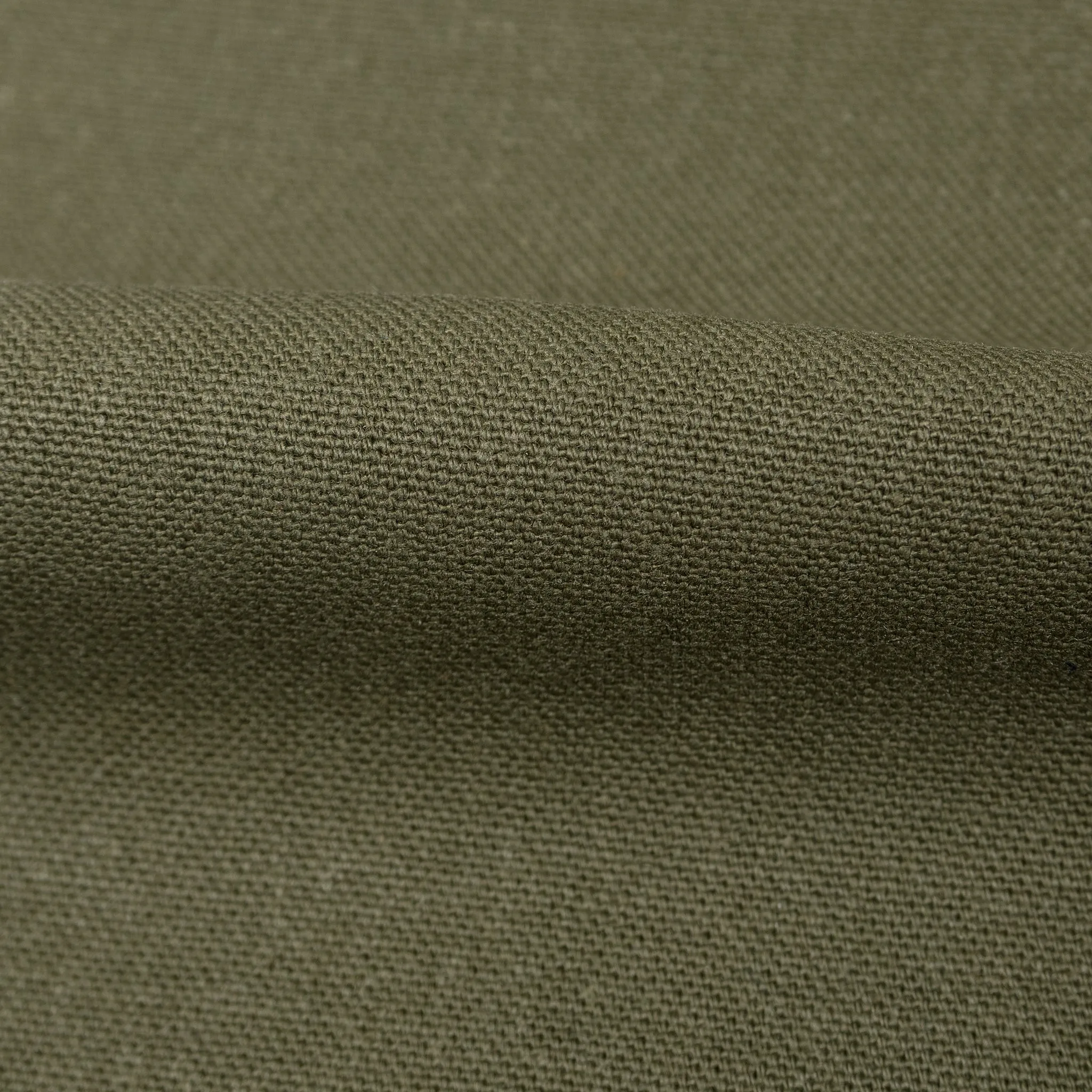 Weird Guy - Army Green Duck Selvedge